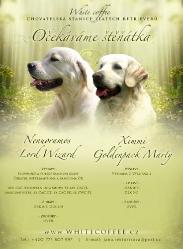 Prod�me �t���tka Zlat�ch retr�vr� rezervace pejsk�