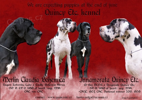 N�meck� doga - �t��ata