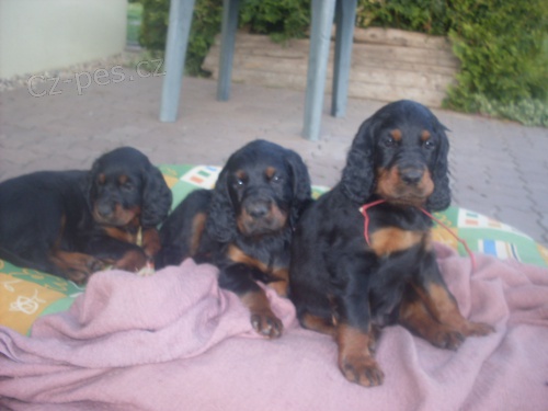 St�edo�esk� kraj