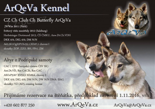 �Eskoslovensk�vl��k s PP