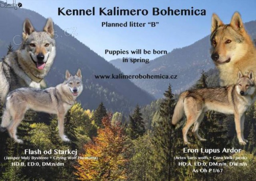 �eskoslovensk� vl��k