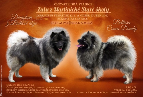 Vl�� �pic s PP �t���tka