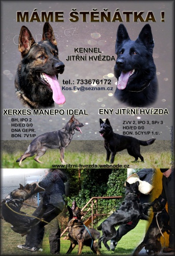 N�meck� ov��k �t��ata s PP v�b. pracovn� linie