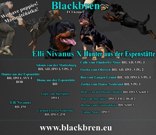 Rotvajler �t���tka