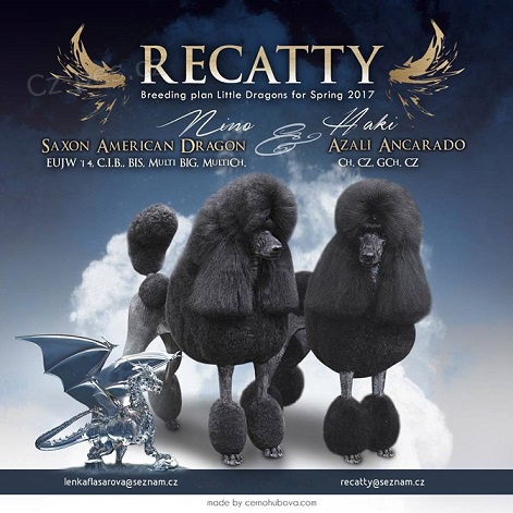 Pudl s PP - �t��ata