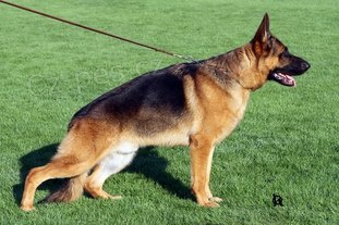 Nab�z�me ke kryt� NO 