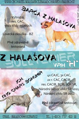 Bulteri�r �t��ata s PP, pln� testovan� rodi�e