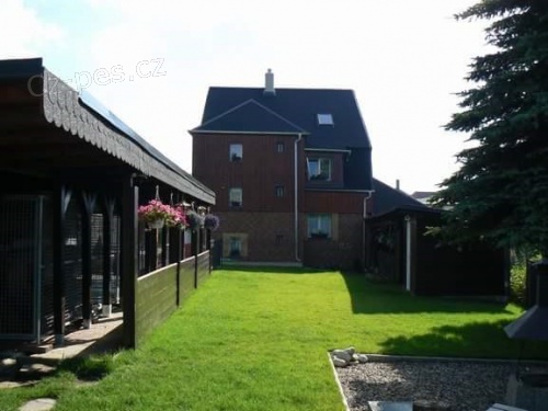 Hotel pro psy a jin� zv��ata s kamerov�m dohledem