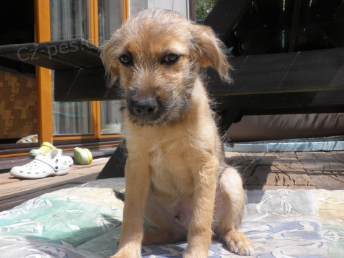 Peru�nsk� nah��