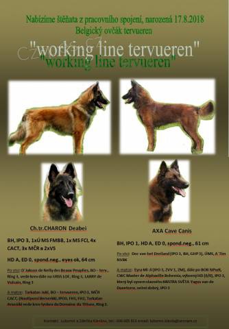 Belgick� ov��k Tervueren �working line Tervueren�
