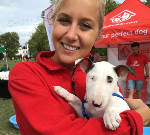 Prod�m Mini Bulteri�ra Stenata