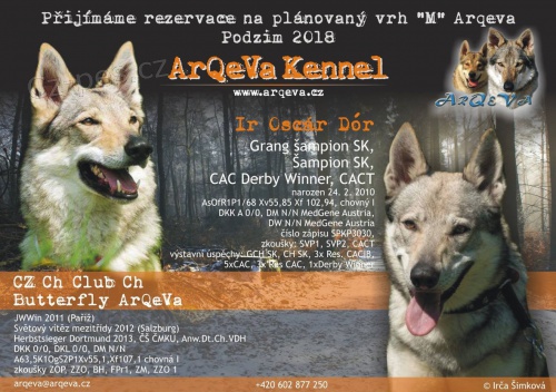 �eskoslovensk� vl��k s PP