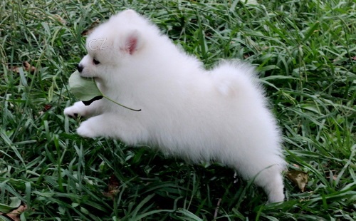 Super pom �t��ata pro nov� domovy