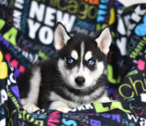 Okouzluj�c� rozko�n� �t���tko