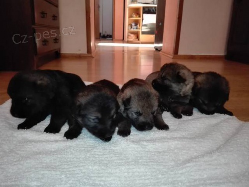 �t��ata NO s PP