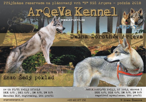 �eskoslovensk� vl��k s PP