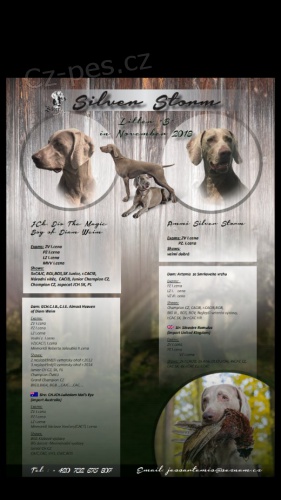 �t���tka v�marsk�ho oha�e