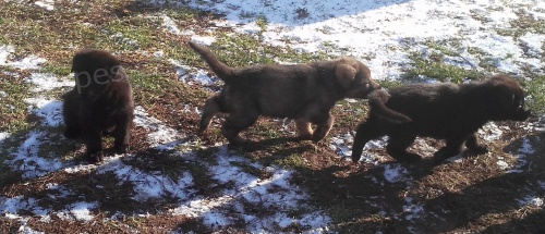 �t��ata NO s PP