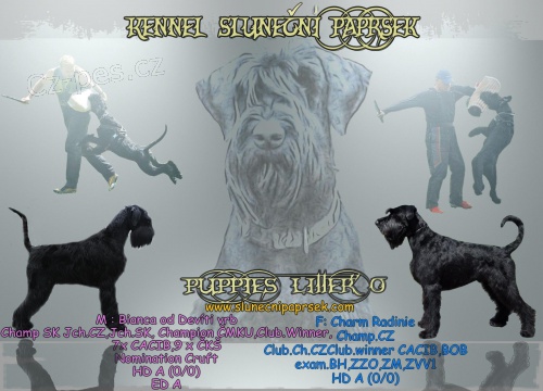 Kn�ra� velk� �errn� s PP