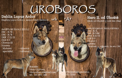 �eskoslovensk� vl��k �t�n� s PP 