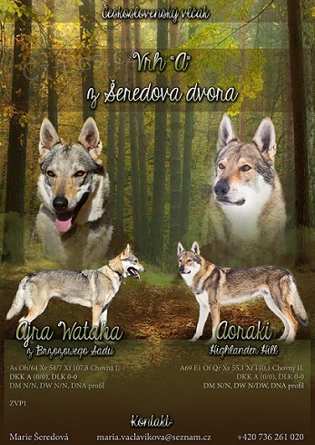 �eskoslovensk� vl��k s PP