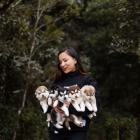 Roztomil�, 100% modre o�i Siberian Husky �t��ata S PP.