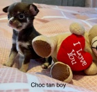 �ivava �t��ata