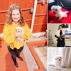 Malt�tina na prodej.