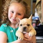 �t���tka francouzsk�ho buldo�ka k dispozici