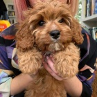 Pudl� �t��ata p�ipravena