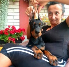 Dobrman �t��ata