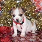 N�dhern� �t���tka �ivavy.