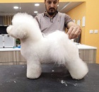 Bi�onek �t��ata