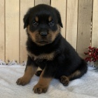 Prod�m �t��ata rotvajlera.