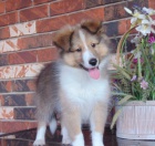 Prod�m �t��ata �eltie