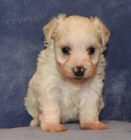 Prod�m kr�sn� a rozko�n� �t��ata mal�ch kn�ra��.