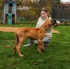 N�meck� doga - �t���tka