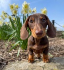 Prod�m zdrav� �t��ata JEzev��ka.