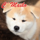 �t���tka Akita Inu s pr�kazem p�vodu