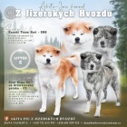 �t���tka Akita Inu s pr�kazem p�vodu