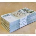 Finan�n� pomoc od soukrom�ho investora