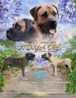 boerboel - FCI pp