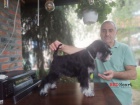 Miniaturn knra tn  fenka