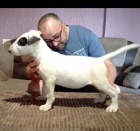 Bulteri�r �t��ata na prodej