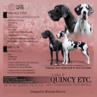 Nmeck doga -tata s PP