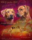 Rhod�sk� ridgeback - �t���tka