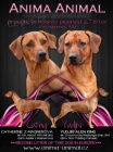 Anima Animal - Rhod�sk� ridgeback