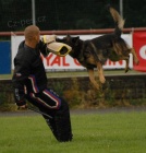 N�meck� ov��k �t���tka