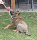 Prod�m �t��ata NO s PP