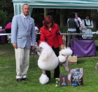 Kr�lovsk� pudl s PP